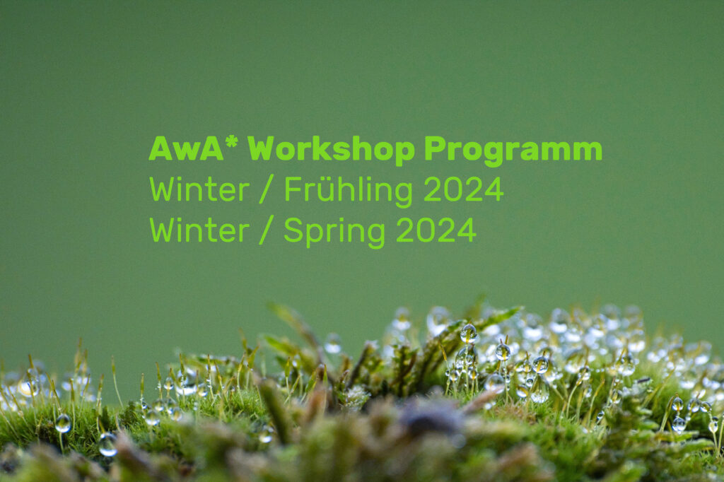 Grünes Bild mit Titel "awa-stern Workshop Programm Winter/Frühling 2024"