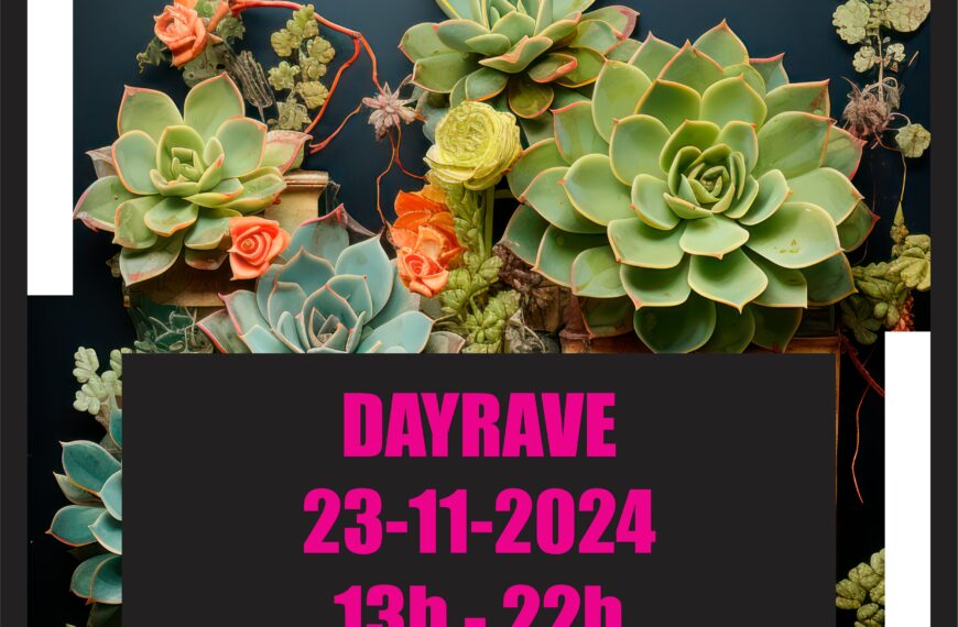 DAYRAVE 23-11-24 EN